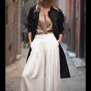 Massimo Dutti palazzo pants